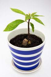 Similar image 21842216