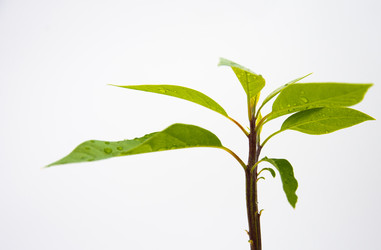 Similar image 21842218