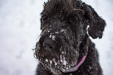 Similar image 21842219