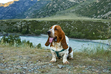 Similar image 21842222