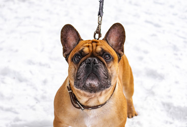 Similar image 21842235