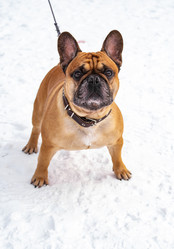 Similar image 21842237