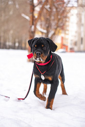 Similar image 21842642