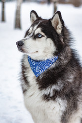 Similar image 21839939