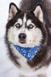 Similar image 21839940