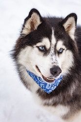 Similar image 21839941