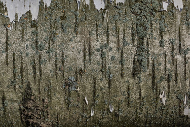 Similar image 21839529