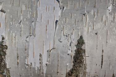 Similar image 21839530