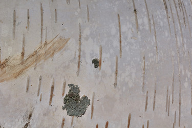 Similar image 21839943