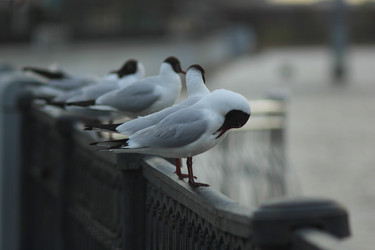 Similar image 21840557