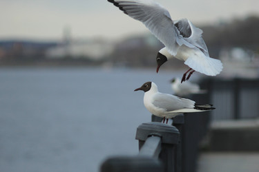 Similar image 21840558