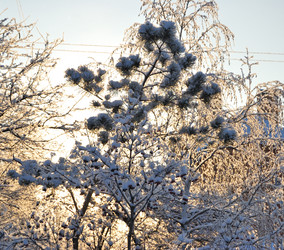 Similar image 21839950