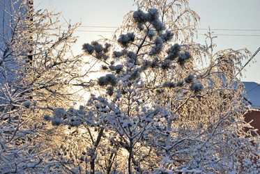 Similar image 21839952