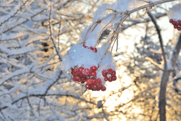 Similar image 21839953