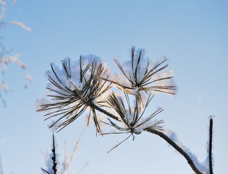 Similar image 21839956