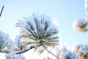 Similar image 21839957