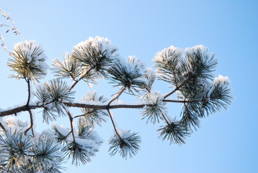 Similar image 21839958