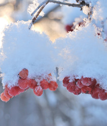 Similar image 21839959