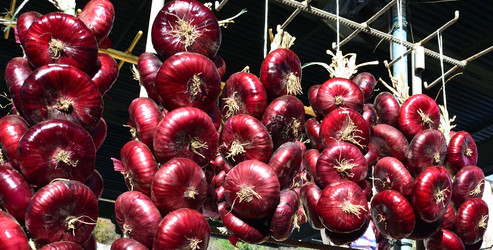 Similar image 21839960