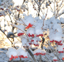 Similar image 21839961