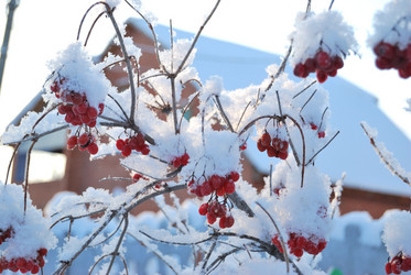 Similar image 21839963