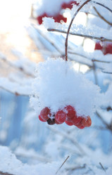 Similar image 21839964