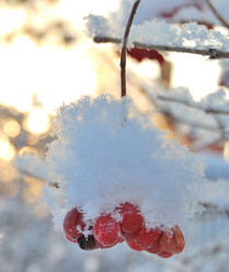 Similar image 21839965