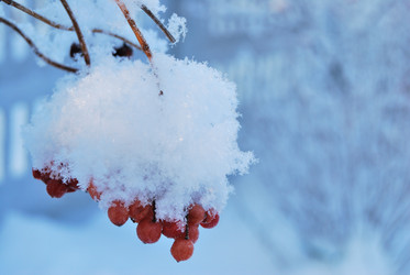 Similar image 21839969