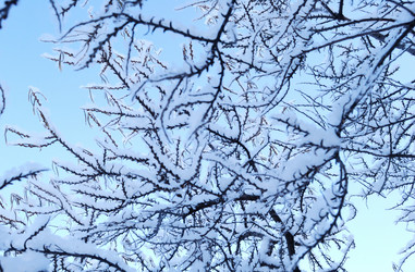 Similar image 21839972