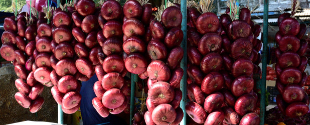 Similar image 21839973