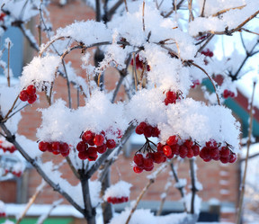 Similar image 21839975