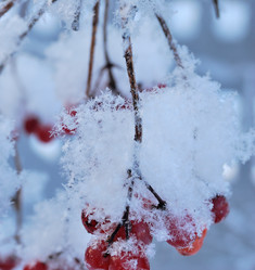 Similar image 21839976