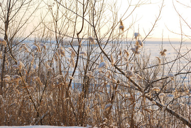 Similar image 21839986