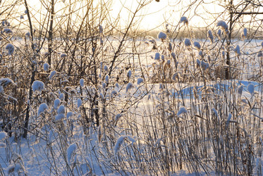 Similar image 21839987