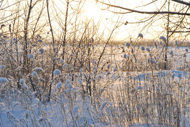 Similar image 21839988