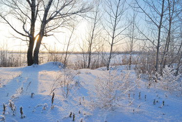 Similar image 21839989