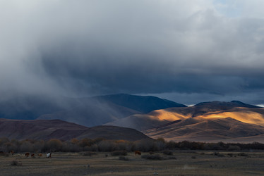 Similar image 21847578