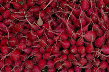 Similar image 21841328