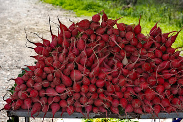 Similar image 21841329