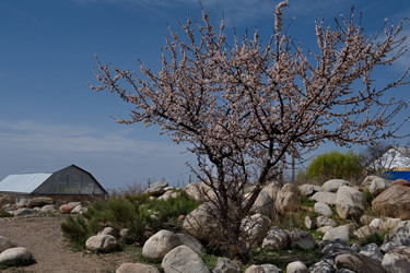 Similar image 21847584