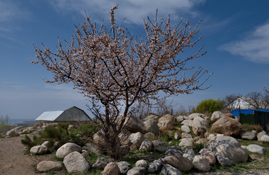 Similar image 21847585