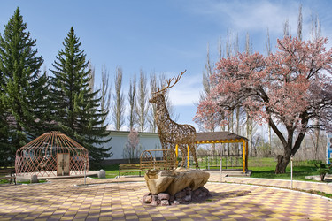 Similar image 21847587