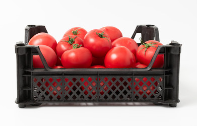 Similar image 21842262