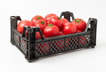 Similar image 21842265