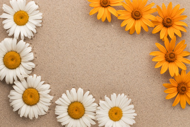 Similar image 21841196