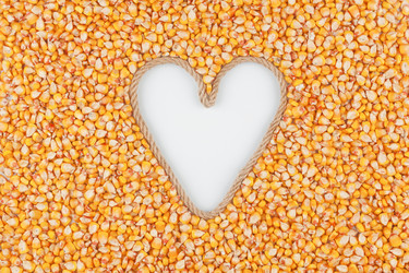 Similar image 21841211