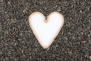 Similar image 21841217