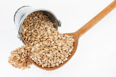 Similar image 21841228