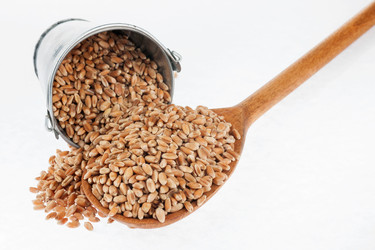 Similar image 21841230