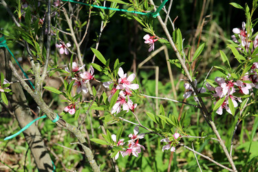 Similar image 21841832